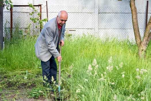 a small, narrow spade for cutting the roots of plants, especially weeds