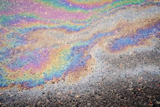 Oil stains on wet asphalt. The concept of environmental pollution, oil spills and environmental problems.