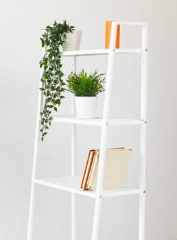 Shelf unit with book and decor artificial plant near white wall in room