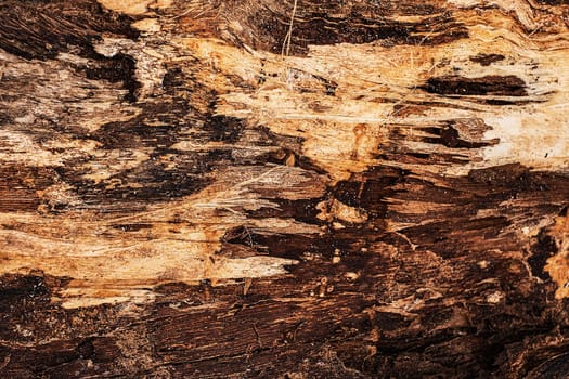 Brown natural wooden cutting board. Wood texture.