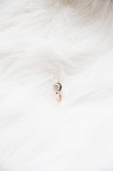 beautiful wedding ring on a white background.