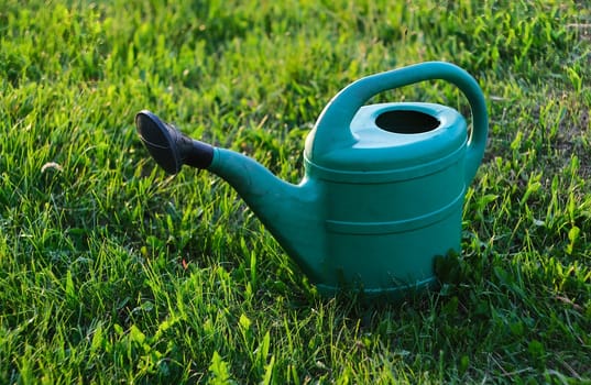 Green watering can on the grass. Sunset in the garden, with a watering tool.