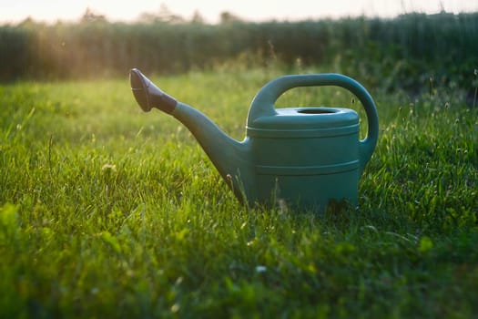 Green watering can on the grass. Sunset in the garden, with a watering tool.