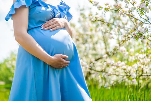 Pregnant woman in the garden of flowering apple trees. Selective focus. Nature.