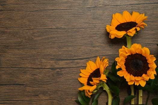 Beautiful sunflowers on rustic wooden background. Top view with copy space, floral background.