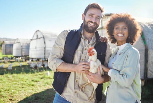 Farmer couple, chicken and agriculture with animal on farm, portrait and poultry farming with organic free range product. Livestock, agro business and sustainability with people in protein industry.