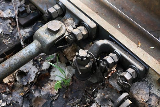 An abandoned old railway in the middle of the forest