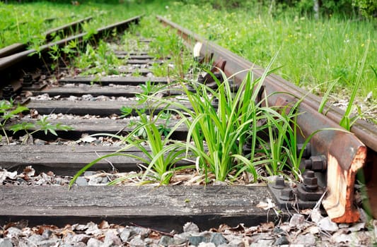 An abandoned old railway in the middle of the forest