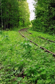 An abandoned old railway in the middle of the forest
