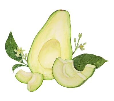 Avocado pieces with leaves and flowers watercolor hand drawn realistic illustration. Green and fresh art of salad, sauce, guacamole, smoothie ingredient. For textile, menu, cards, paper, package, cooking books design