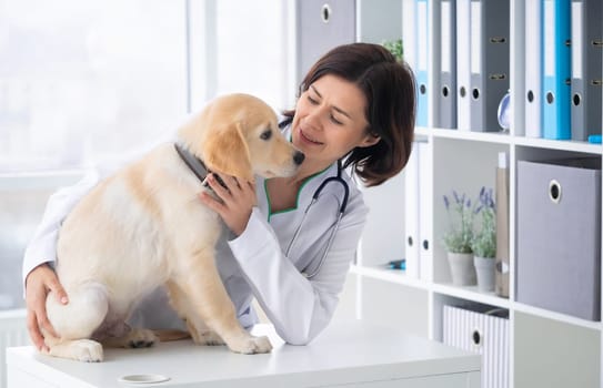Smiling veterinarian with young dog in clinic