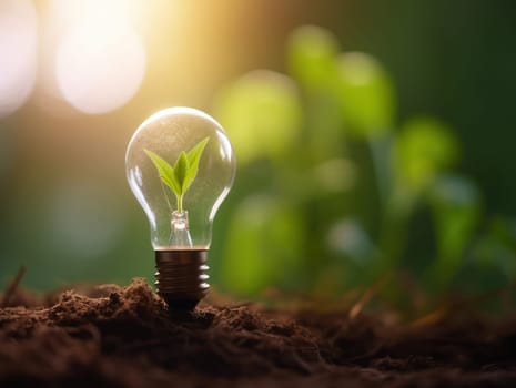 Tree growing on light bulb with sunshine in nature. saving energy and eco concept. Generative AI.