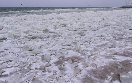 Round and pancaked ice near the shore of the frozen Black Sea, harsh winter of 2011