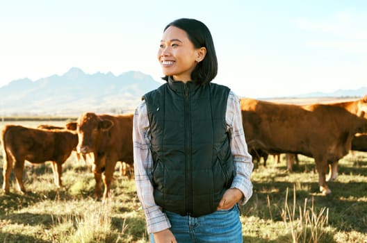 Countryside, cow cattle and Asian woman happy about nature, mountains and agriculture farm. Smile, grass field and animals with a person from Japan on travel, holiday and vacation in Texas.