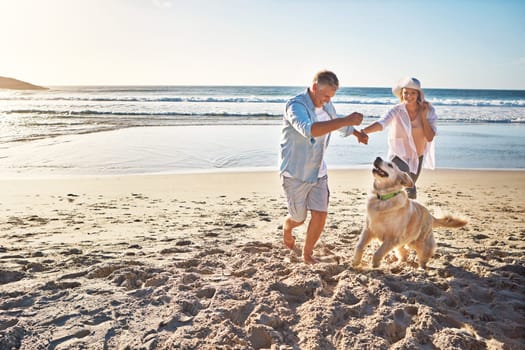 Happy couple, holding hands and at the beach with a dog in summer for retirement travel in Indonesia. Smile, playful and an elderly man and woman on a walk at the sea with a pet for play and holiday.