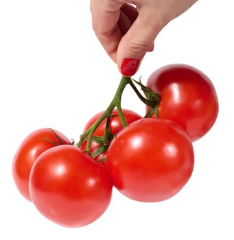 Red ripe tomatoes on a green branch on a white background, healthy vegetable