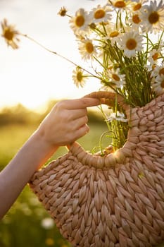 a woman holds a wicker basket with daisies in her hand against the sunset sky. High quality photo