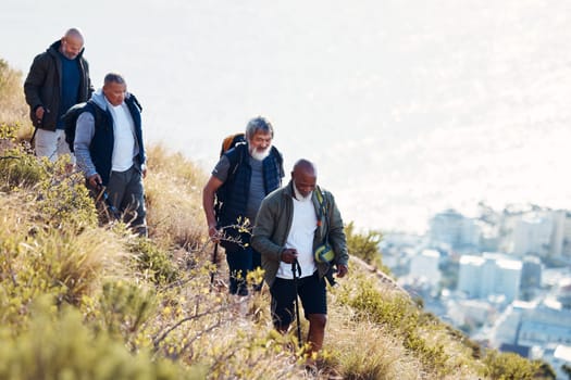 Group, senior and men hiking or trekking on mountain in Cape Town for exercise, workout or fitness. Team, teamwork and elderly people training outdoors in nature for an adventure, explore and health.