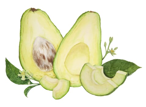 Avocado pieces with leaves and flowers watercolor hand drawn realistic illustration. Green and fresh art of salad, sauce, guacamole, smoothie ingredient. For textile, menu, cards, paper, package, cooking books design