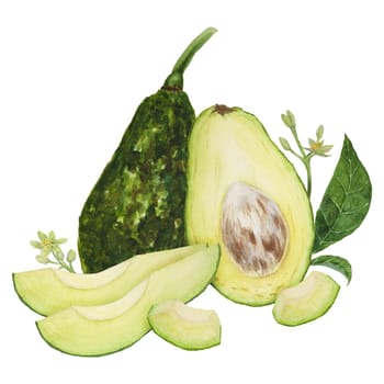 Avocado pieces with leaves and flowers watercolor hand drawn realistic illustration. Green and fresh art of salad, sauce, guacamole, smoothie ingredient. For textile, menu, cards, paper, package, cooking books design