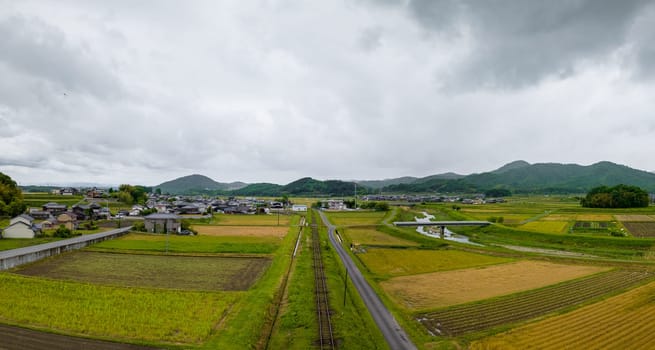 Straight train tracks through yellow and green fields in rural landscape. High quality photo