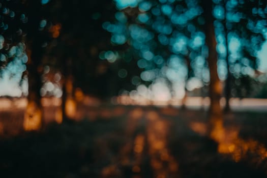 Bokeh in the forest at sunset with brightly colored yellows and blues. Abstract background with bokeh.