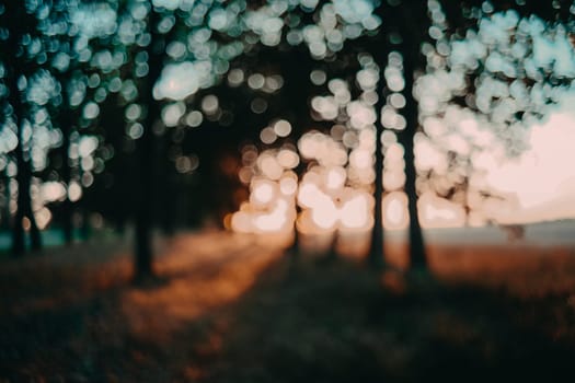 Bokeh in the forest at sunset with brightly colored yellows and blues. Abstract background with bokeh.