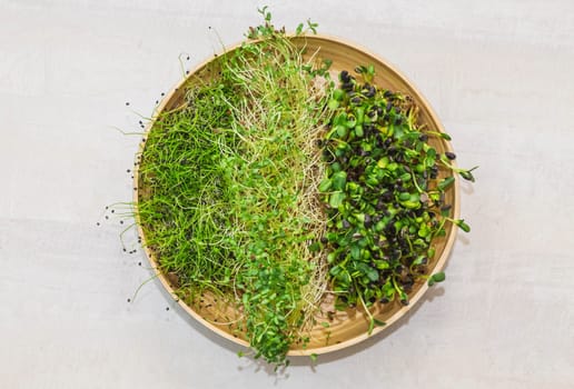 Clay dish with three types of micro-greens.