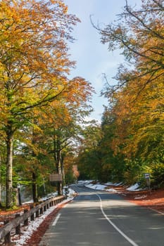 Autumn landscape. The road in the forest in Slovenia. Snow on the roadside