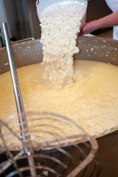 Cheesemaker cooking stirring italian bufalo organic milk in stainless steel caudrons, to produce ricotta cheese, italian food excellence worldwide export.