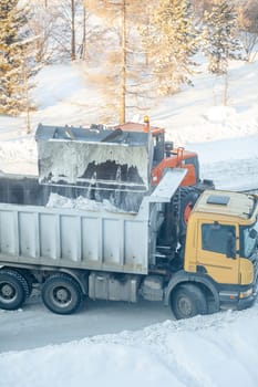 Big orange tractor cleans up snow from the road and loads it into the truck. Cleaning and cleaning of roads in the city from snow in winter. Snow removal after snowfall and blizzards.