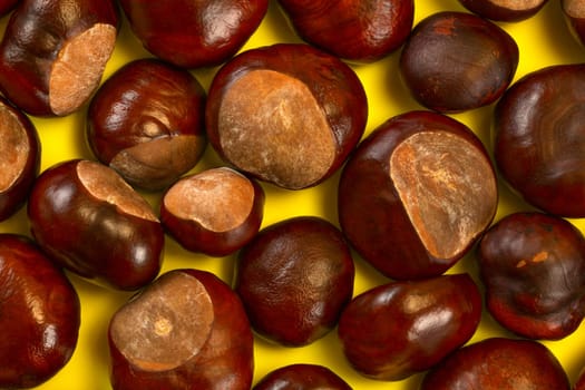 Detailed top view - horse chestnuts on yellow board.