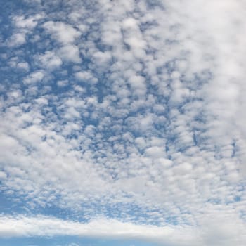 High resolution photo of sky with fluffy ( altocumulus - cirrocumulus / mackerel skies ) clouds.