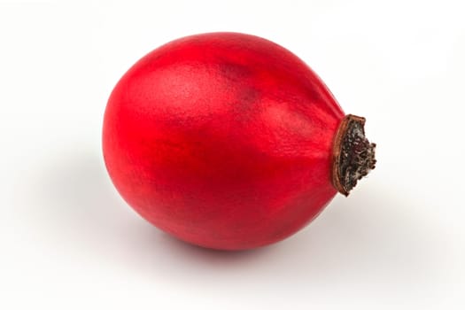 Single rosehip ( rosa canina fruit ) isolated on white background.