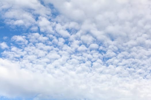 Sky with fluffy ( also called mackerel ) clouds