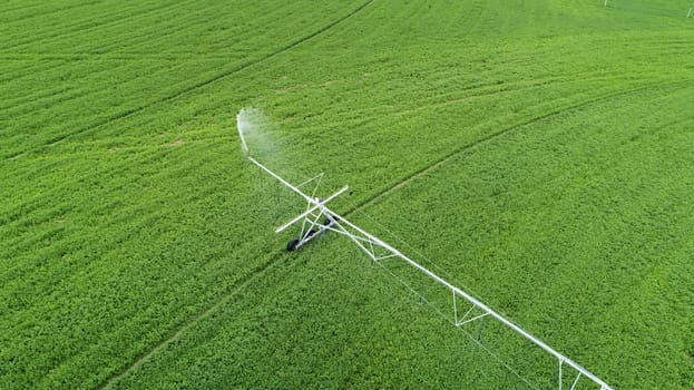 crops getting watered by a sprinkler as seen from an aerial view