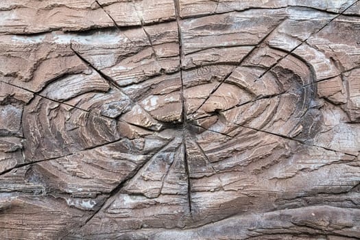 wood texture close-up as the whole background. photo