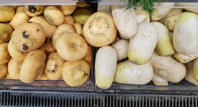 Close-up of white organic turnips on the counter in the vegetable market, sale of organic farm vegetables.