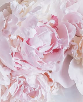 White pink peony petals. Soft focus. Abstract floral background for holiday brand design