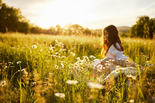 woman sitting in a field with daisies in a light dress out of focus. High quality photo