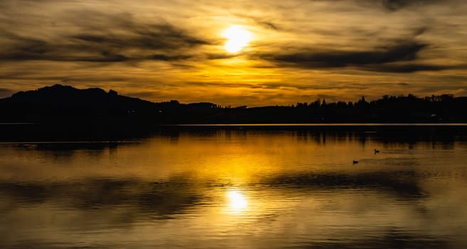 A peaceful morning at the Alps lake surrounded by lush trees, reflecting a tranquil sky of clouds illuminated in dawns orange glow.