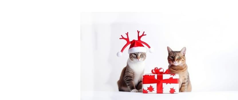 Cats and kittens celebrating the Christmas holidays in a red santa claus hat, reindeer antlers and a red gift ribbon on a white background. AI generated