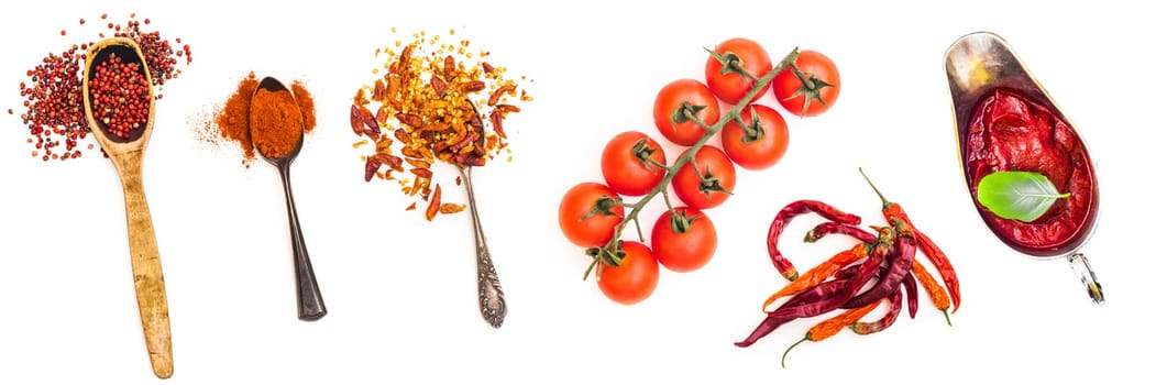 Set of spices in retro spoons, sauce and tomatoes isolated on a white background