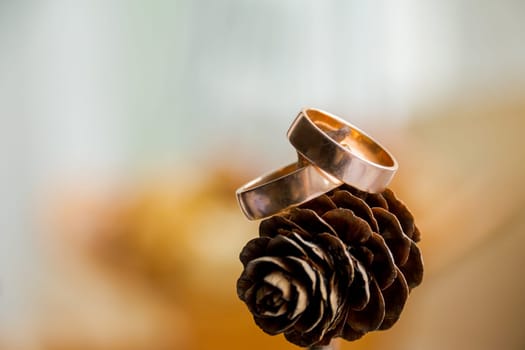 Beautiful two gold wedding rings lying on a pile of pine cones