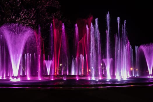 Colorful musical fountain in Margaret Island, Budapest, Hungary at night
