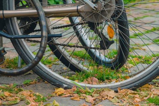 Bicycle wheels with many dry leaves on the pavement on autumn day.