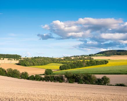 burgundy countryside landscape of french morvan with green grassy fields and forests under blue sky with clouds