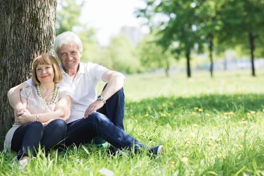 Happy senior couple sitting on grass under a tree in park at sunny summer day