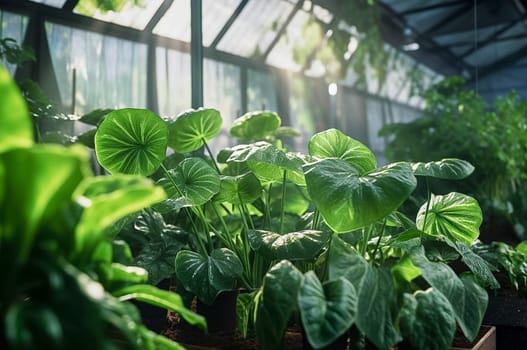 Greenhouse of green plants and flowers. Generative AI. High quality illustration