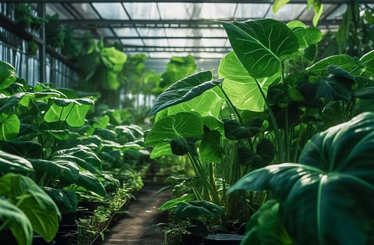 Greenhouse of green plants and flowers. Generative AI. High quality illustration